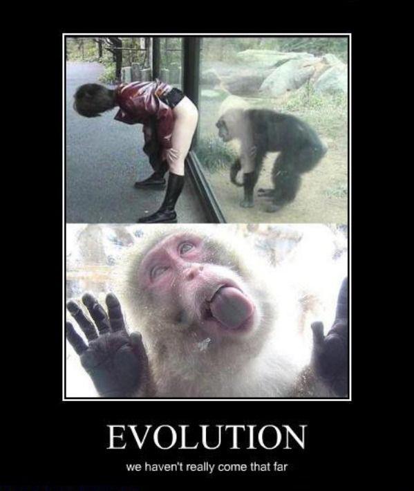 Evolution -- we haven't really come that far.