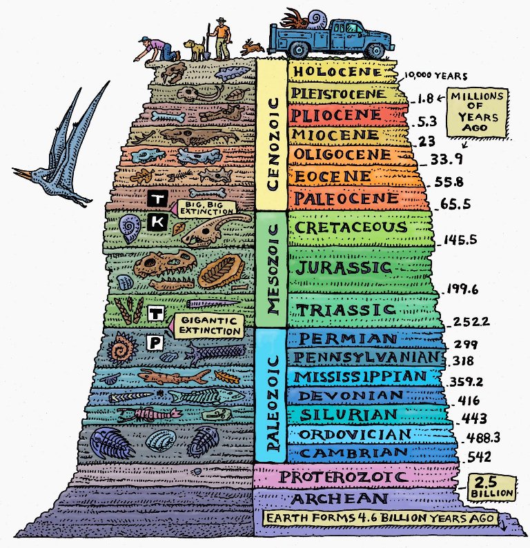 Geologic time scale.