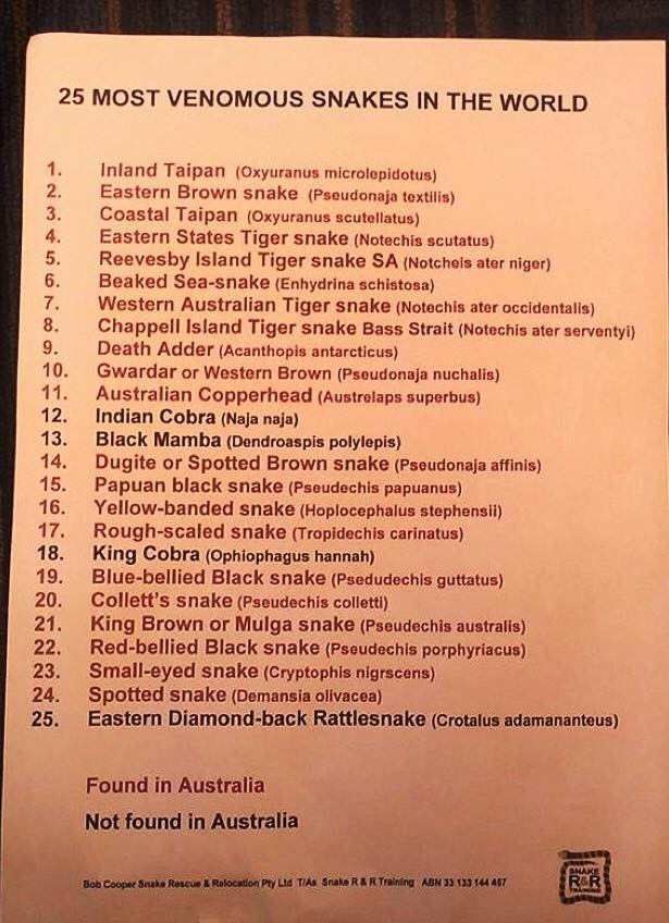 List of poisonous snakes.